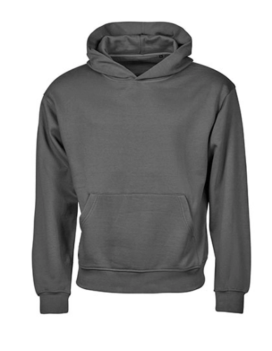 Bluza oversize z kapturem Tee Jays 5162 – bawełna organiczna 350 powder grey.jpg